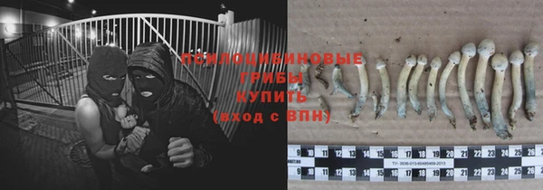 прущий лед Балахна