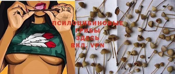 apvp Балабаново