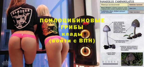 apvp Балабаново